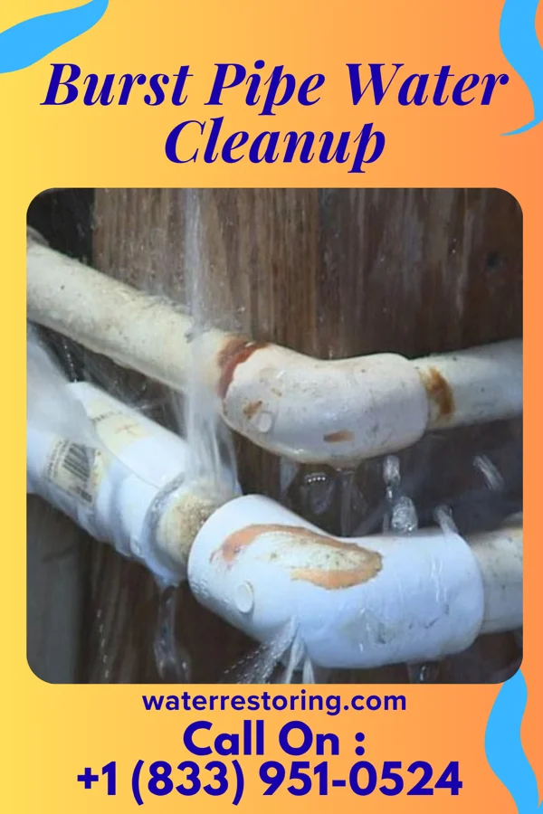 Burst Pipe Water Cleanup in Spring City, TN