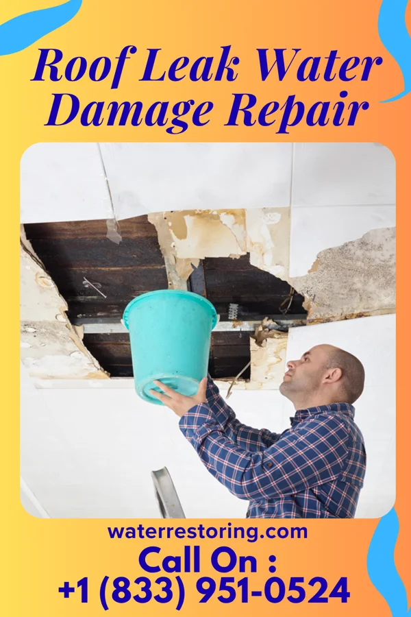 Roof Leak Water Damage Repair in Spring City, TN