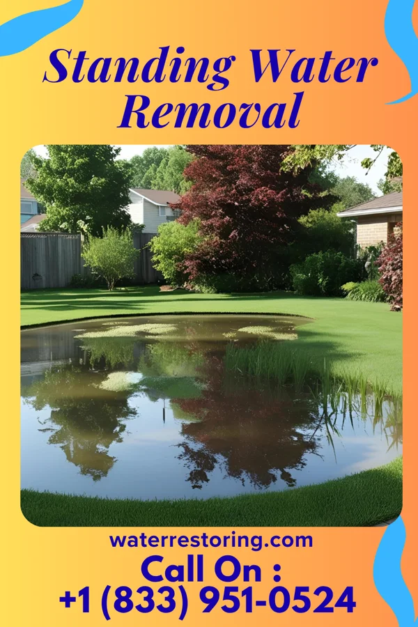 Standing Water Removal in Spring City, TN